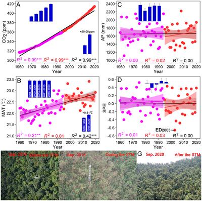 Climate change reshapes plant trait spectrum to explain biomass dynamics in an old-growth subtropical forest